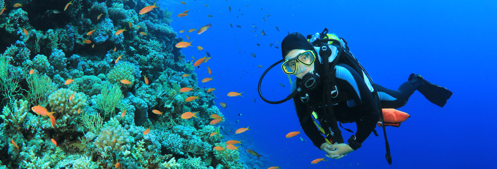 Willkommen in der Unterwasserwelt